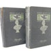 Edgar Allan Poe... RAVEN edition antique book pair