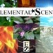 Fragrance Sample Card - Try Before You Buy