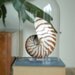 Large Vintage Glass Dome Cloche
