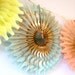 Fancy Frill Tissue Fan