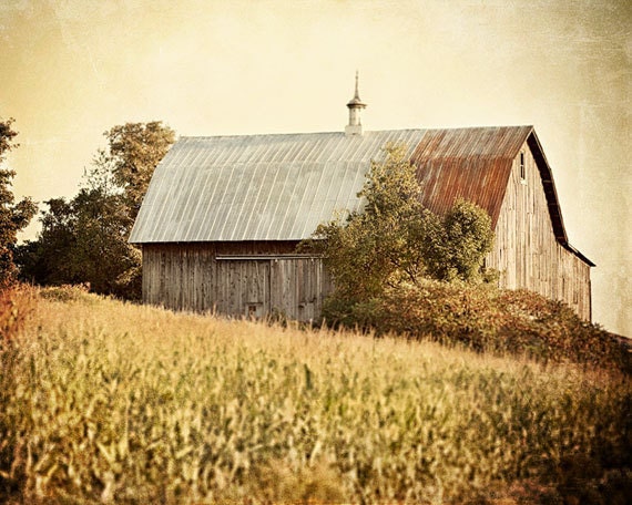 Rustic Barn Decor 8