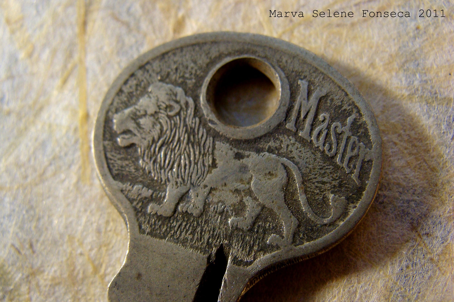 Masterlock Key with Lion