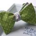 Reversible bowtie, freestyle bow tie, ajustable, polka dot one side, floral print on reverse, self tie
