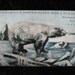 Compliments of Northwestern Hide & Fur Co. Minneapolis, MN Vintage Postcard Advettisement