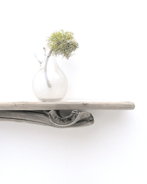 Driftwood Shelf No. 59