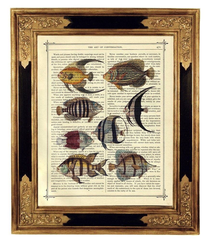 Fish Taxidermy Sea Natural History Vintage Victorian Book