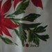 Vintage Vera Poinsettias Tablecloth and 4 Napkins for CHRISTMAS in July