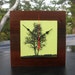 under the shade Tree Reclaimed Redwood Clock in Celery Green