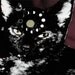 Cycles of the Moon Mystic Cat Print Archival Screenprint