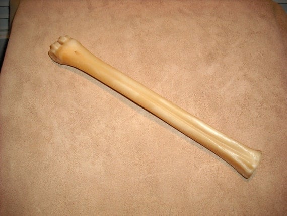 Deer Leg Bone Large Genuine White Tail Deer Leg Bone