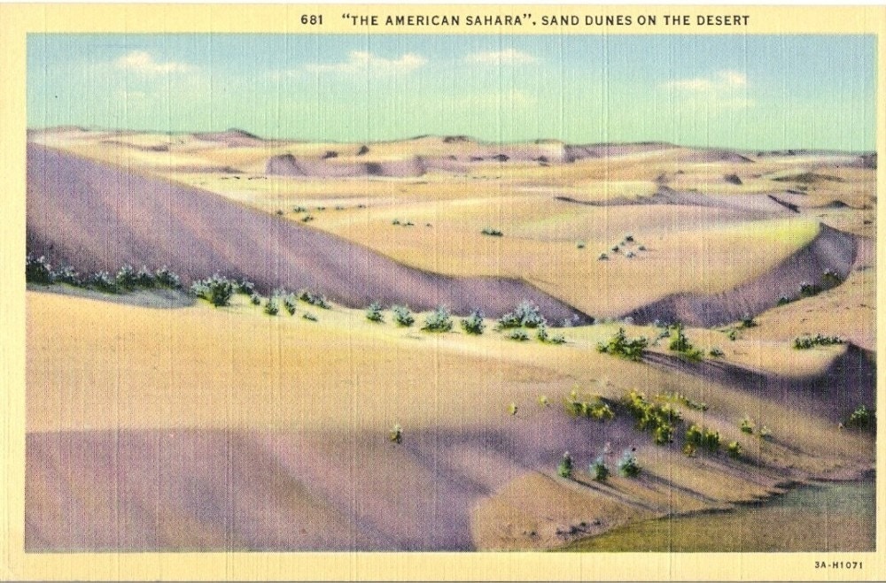 Vintage Postcard Linen The American Sahara Sand