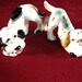 RESERVED for KATHY Vintage Salt & Pepper Shakers: Coon Hound Dog