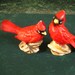 Vintage Salt & Pepper Shakers: Cardinal