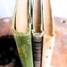 Three Hard Cover Vintage and Antique Books, Beige, Green, & Blue