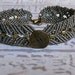 Micro macrame bracelet. Unisex bracelet in gray and matte metallic khaki,
