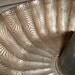Vintage Bundt Cake Pans TREASURY ITEM