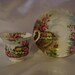 Royal Albert Bone China Teacup and Saucer Made In Enbland