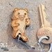 Laser cut and engraved PedoBear wood keychain OR charm accessory