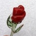 Single stem red rose