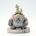 Triclops Creature Pot (Planter)