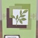 Little Leaves Birthday Greeting Card, Green, Brown, Nature, For Her, For Him, Blank Inside, Stamped