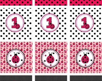 Ladybug DIY Cupcake Toppers