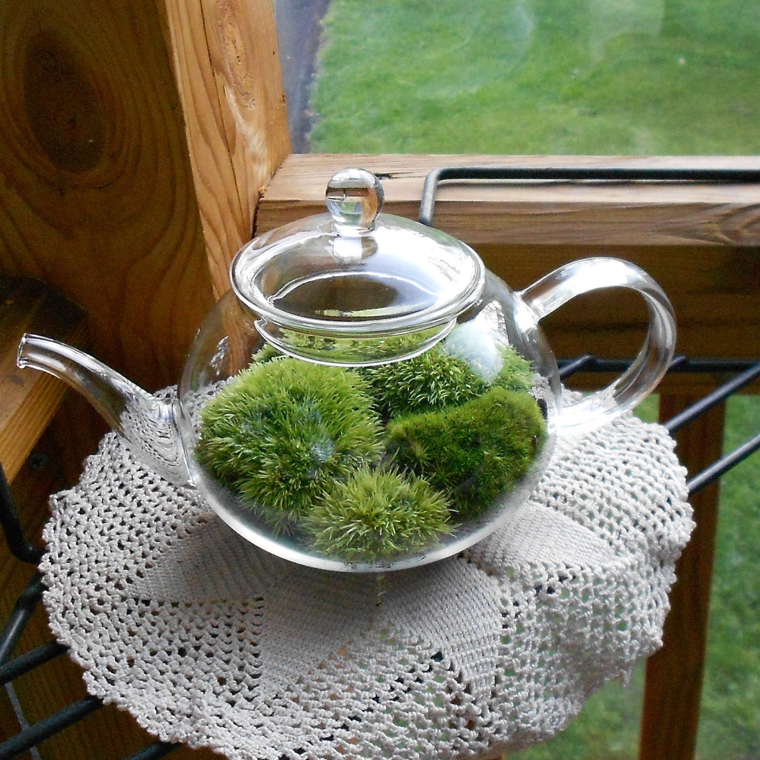 moss terrarium glass teapot terrarium moss terrarium glass teapot terrarium