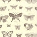 1/2 Yard Butterfly Etchings in Natural Papillon by 3 Sisters for Moda