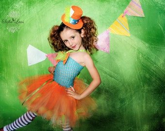 From Alice in Wonderland The Mad Hatter hat & Alice in wonderland hat for Holly