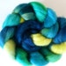 Hand Dyed Falkland Spinning Fiber Roving