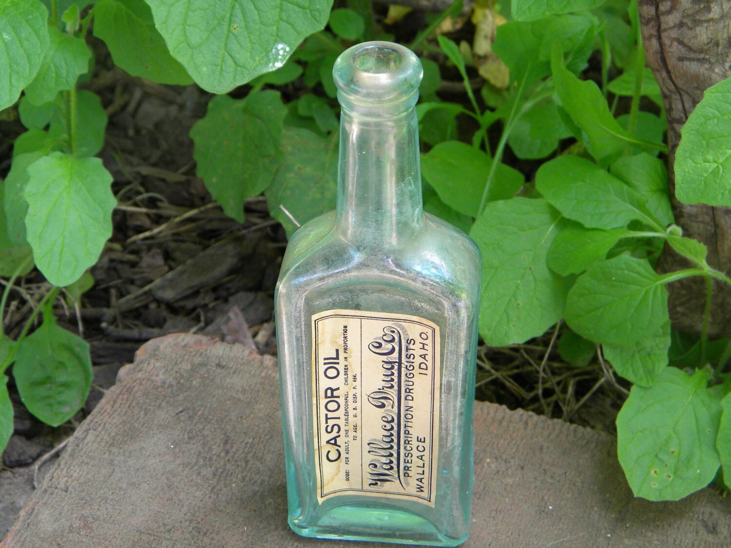 Vintage Medicine bottle Castor Oil aqua bottle Wallace