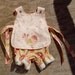 Peonies and Bird Set OOAK, Size Newborn