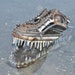 Scrap metal alligator head sculpture