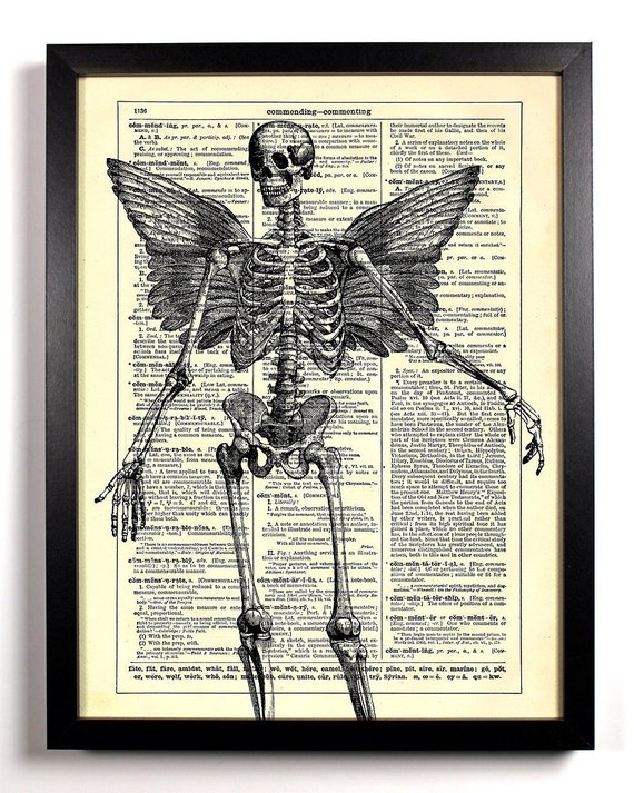 anatomy home decor
