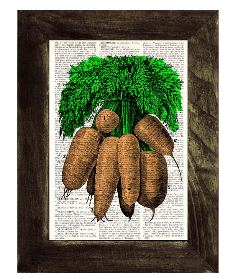 Carrots Illustration Print on Vintage Dictionary Book page BPBB090