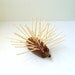 SALE Danish Modern Teak Hedgehog Porcupine Toothpick Holder