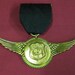 Steampunk airship pilots medal