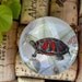 Classy Glass Magnet Great RED TURTLE on LEAF & Berry Background Beautiful Nature Theme