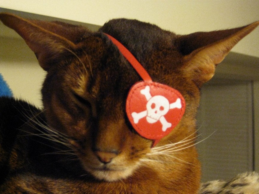 custom made Pirate eye patch for one eyed cat