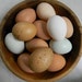 Two dozen Chicken eggs blown and clean