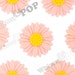 6 - Large Deco Shabby Chic Peach Daisy Sunflower Resin Cabochons, Flower Shaped, 27 MM x 5 MM