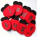 Felt Ladybug Matching Game