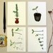 Seedling Greeting Cards- Color Ink Drawing Prints - Set of 4