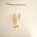 Peach Branch Tassels