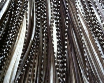 Real Feather Hair Extension - Stepping Stones - MEDIUM Grizzly Feather Extensions Kit 5 Bonded Hair Feathers