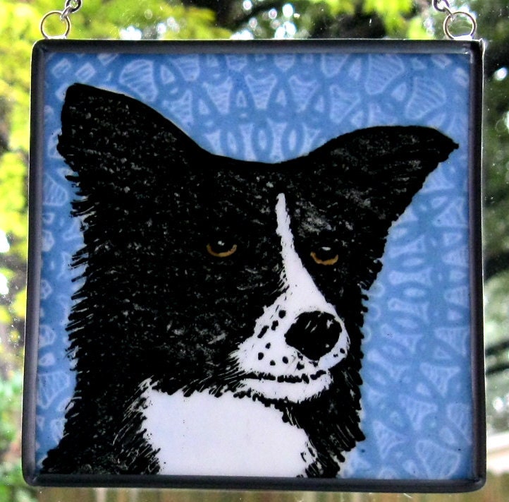 Stained Glass Dog Sun catcher Border Collie on blue by