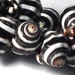 Shell Beads - Black and White Striped Pyrene Shell 8 inches