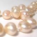 Freshwater Pearls Light Peach 9 Inches 8mm