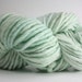 Single Ply sp Super Bulky Yarn Hand dyed Merino 44sp12008 Mentha
