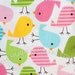 LAST PIECE Half Yard Birds in Spring, Urban Zoologie, by Ann Kelle for Robert Kaufman, 100% Cotton Fabric